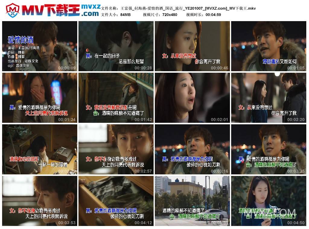 王富强_付海燕-爱情的酒_国语_流行_YE201007